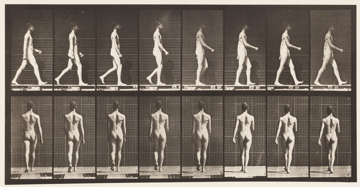 Placa 9. Caminhada, 1872-1885 de Eadweard Muybridge