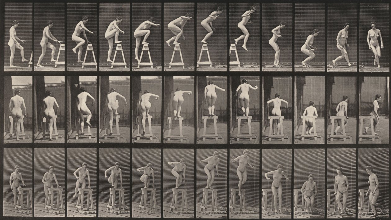 Prancha número 171. Subir para um cavalete, saltar para baixo e virar-se de Eadweard Muybridge