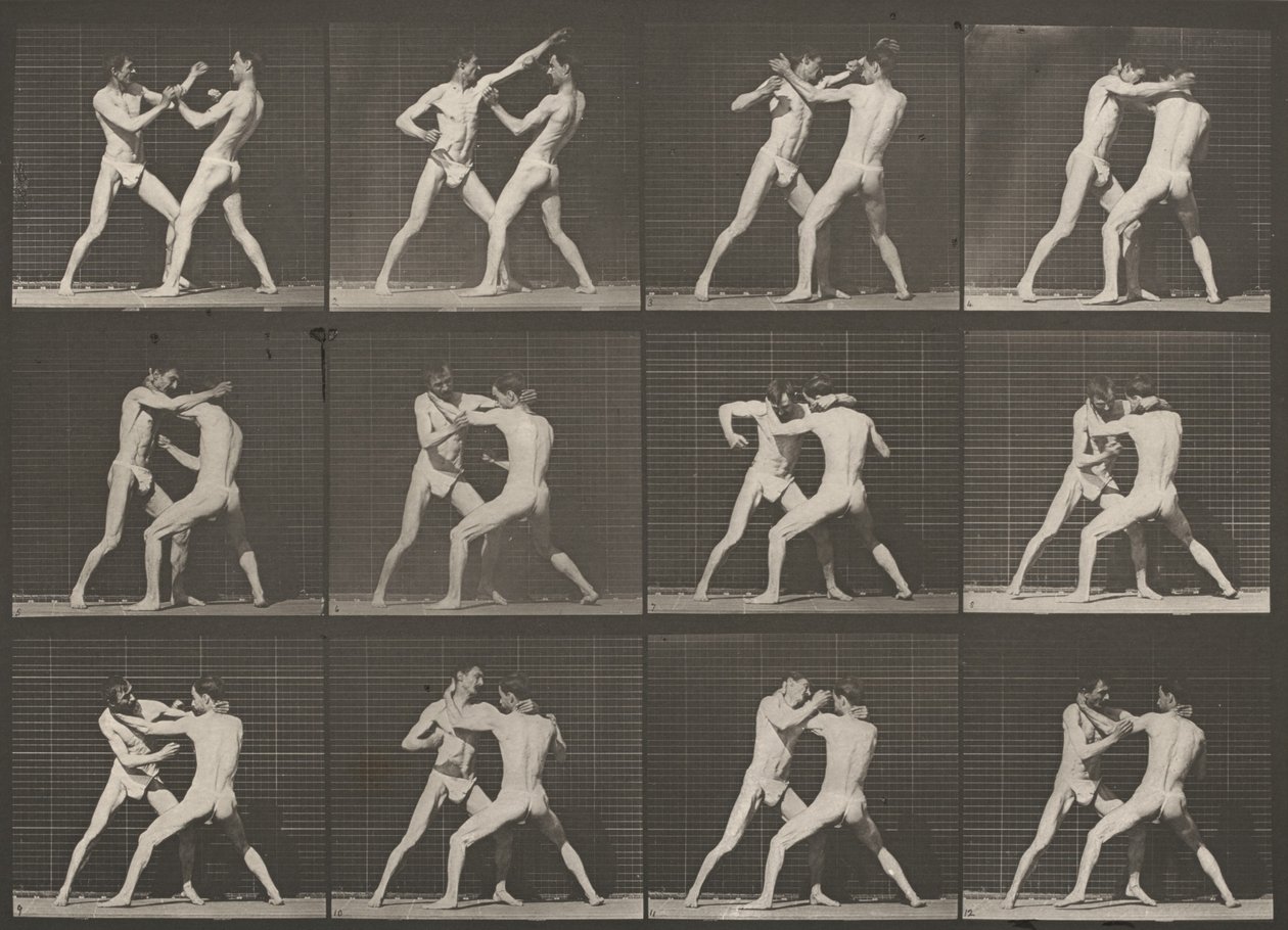 Estampa número 340. Boxe, mão aberta de Eadweard Muybridge