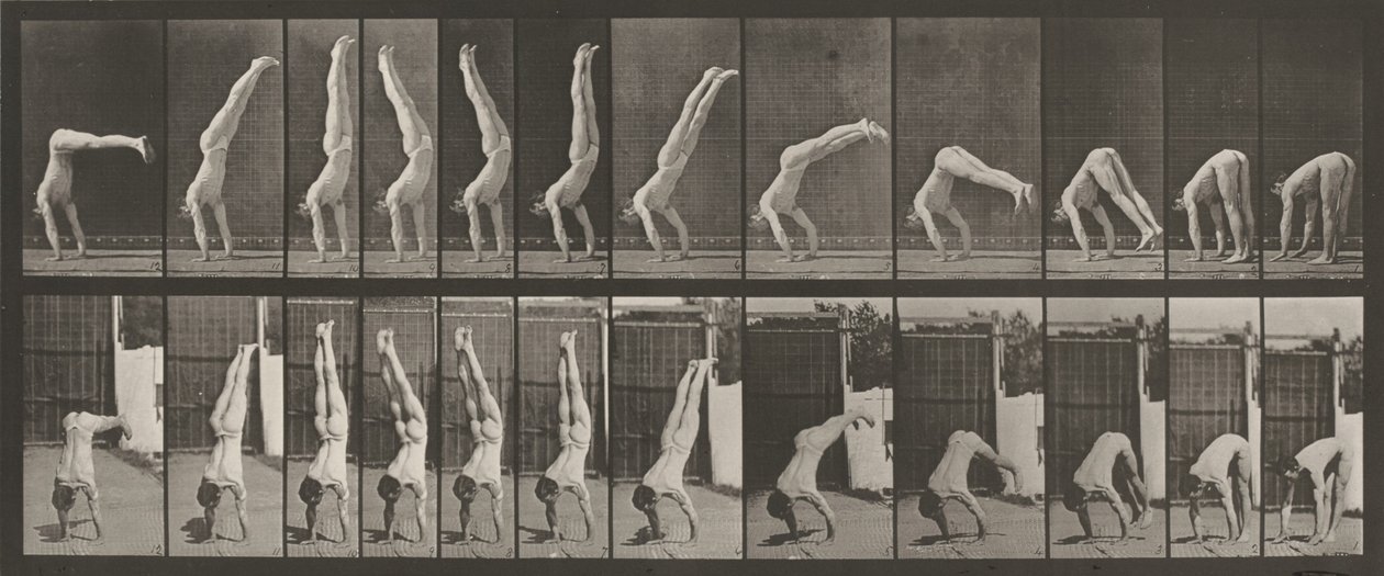 Placa número 371. Acrobat, vertical "press up",1887 (foto) de Eadweard Muybridge