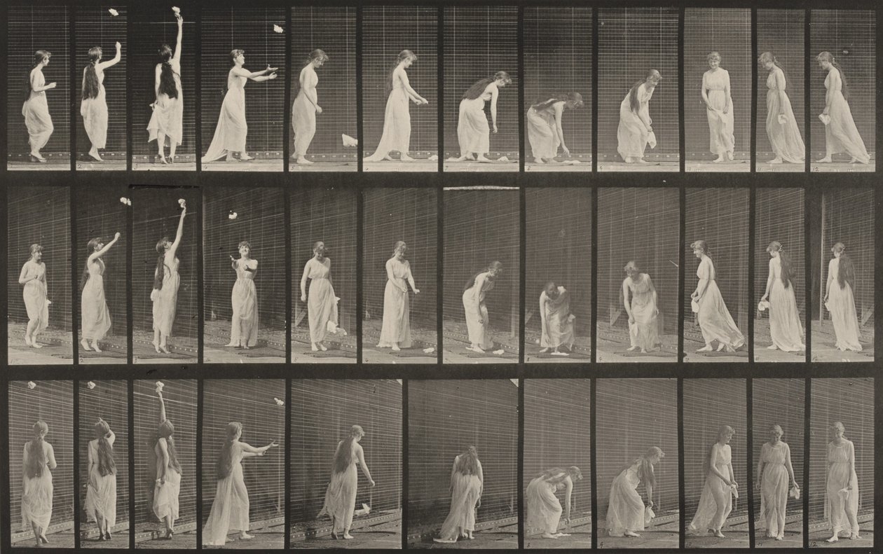 Prancha número 463. Esticar-se, curvar-se e virar-se de Eadweard Muybridge