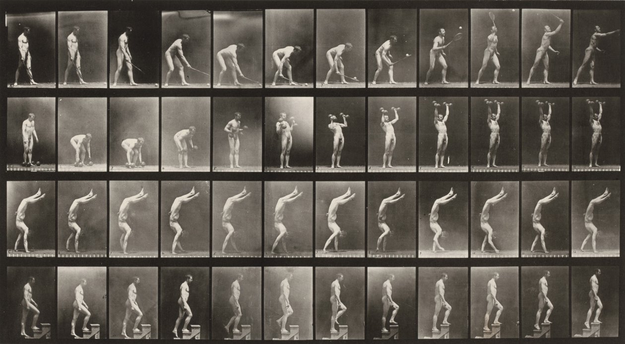 Prancha número 488. A: Ténis em relva. B: Halteres. C: Caminhar sobre as mãos. D: Subir escadas de Eadweard Muybridge