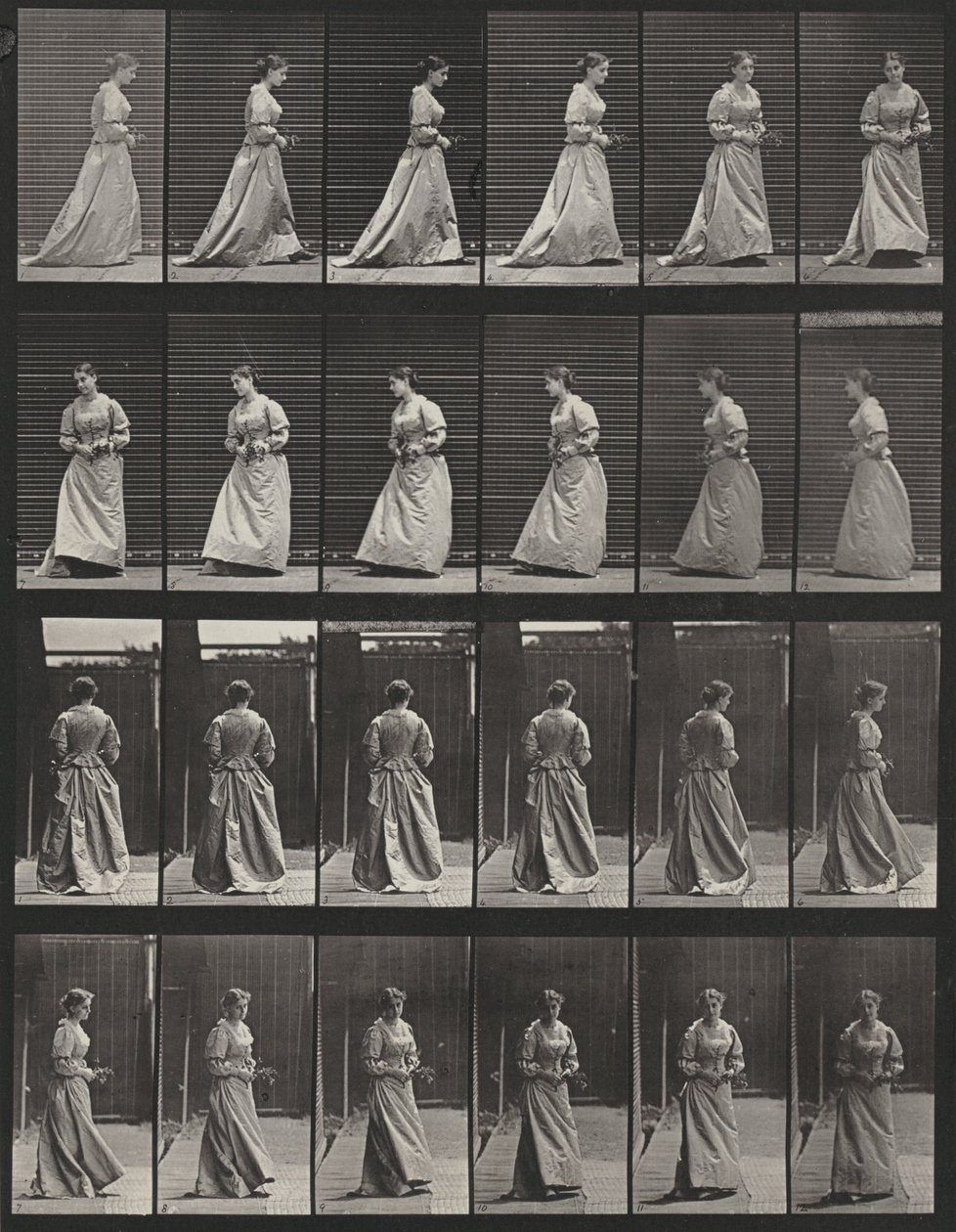 Prancha número 48. Caminhar e virar-se com um ramo nas duas mãos de Eadweard Muybridge