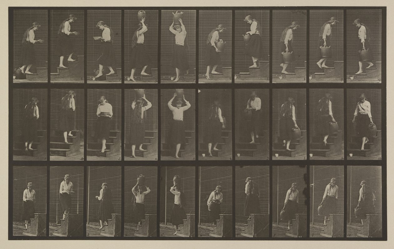Placa número 504. Escadas ascendentes e descendentes de Eadweard Muybridge