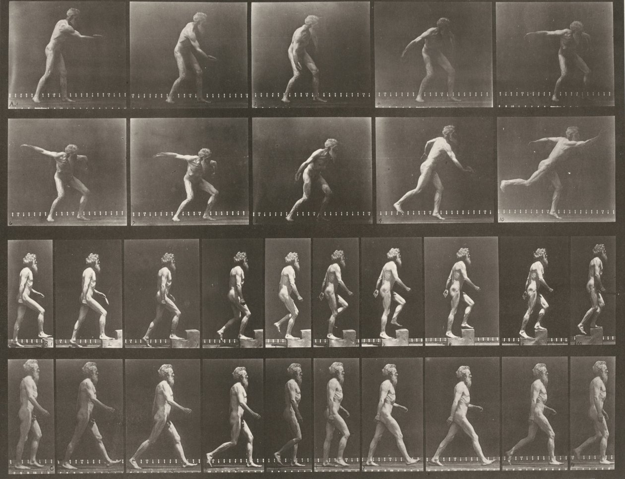 Prancha número 519. A: Lançar um disco. B: Subir um degrau. C: Caminhar de Eadweard Muybridge