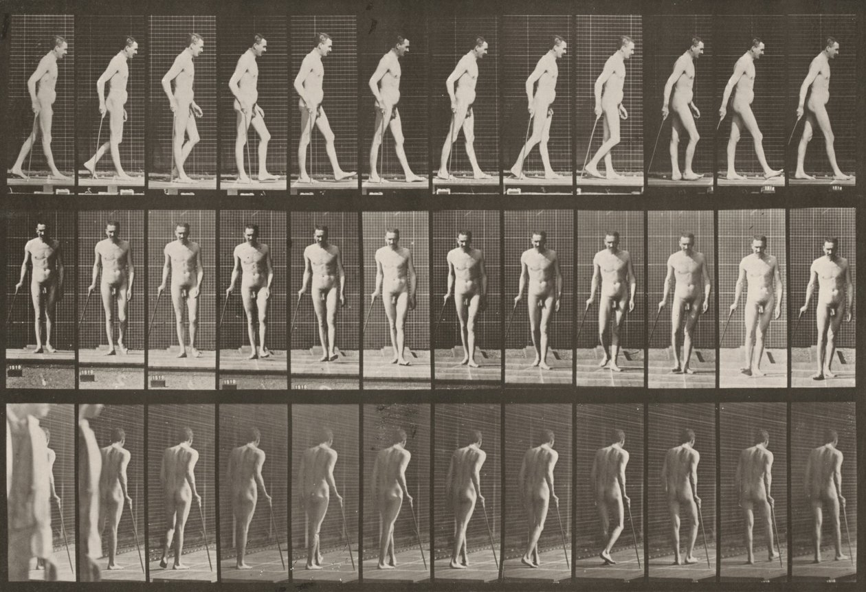 Prancha número 559. Paraplegia parcial, caminhar com bengala de Eadweard Muybridge