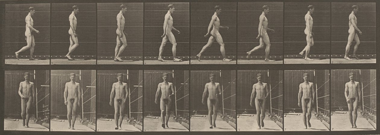 Placa número 5. Caminhada, 1887 (foto) de Eadweard Muybridge