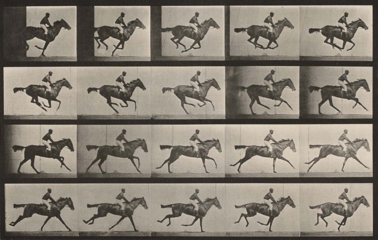 Prancha número 627. «Annie G.» a galope de Eadweard Muybridge