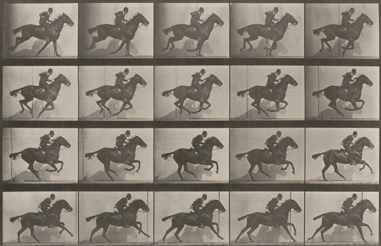 Prancha número 628. «Daisy» a galope de Eadweard Muybridge