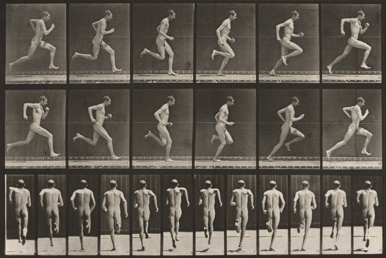 Prancha número 62. Corrida a toda a velocidade de Eadweard Muybridge