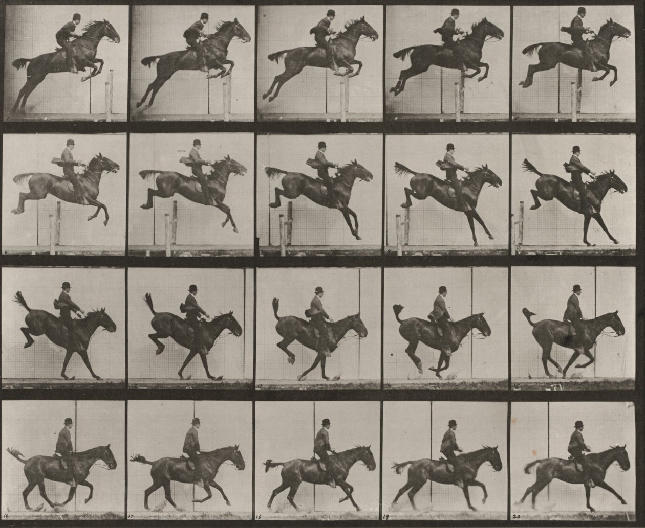 Prancha número 637. «Daisy» a saltar um obstáculo, selada, a transpô-lo, a aterrar e a recuperar de Eadweard Muybridge