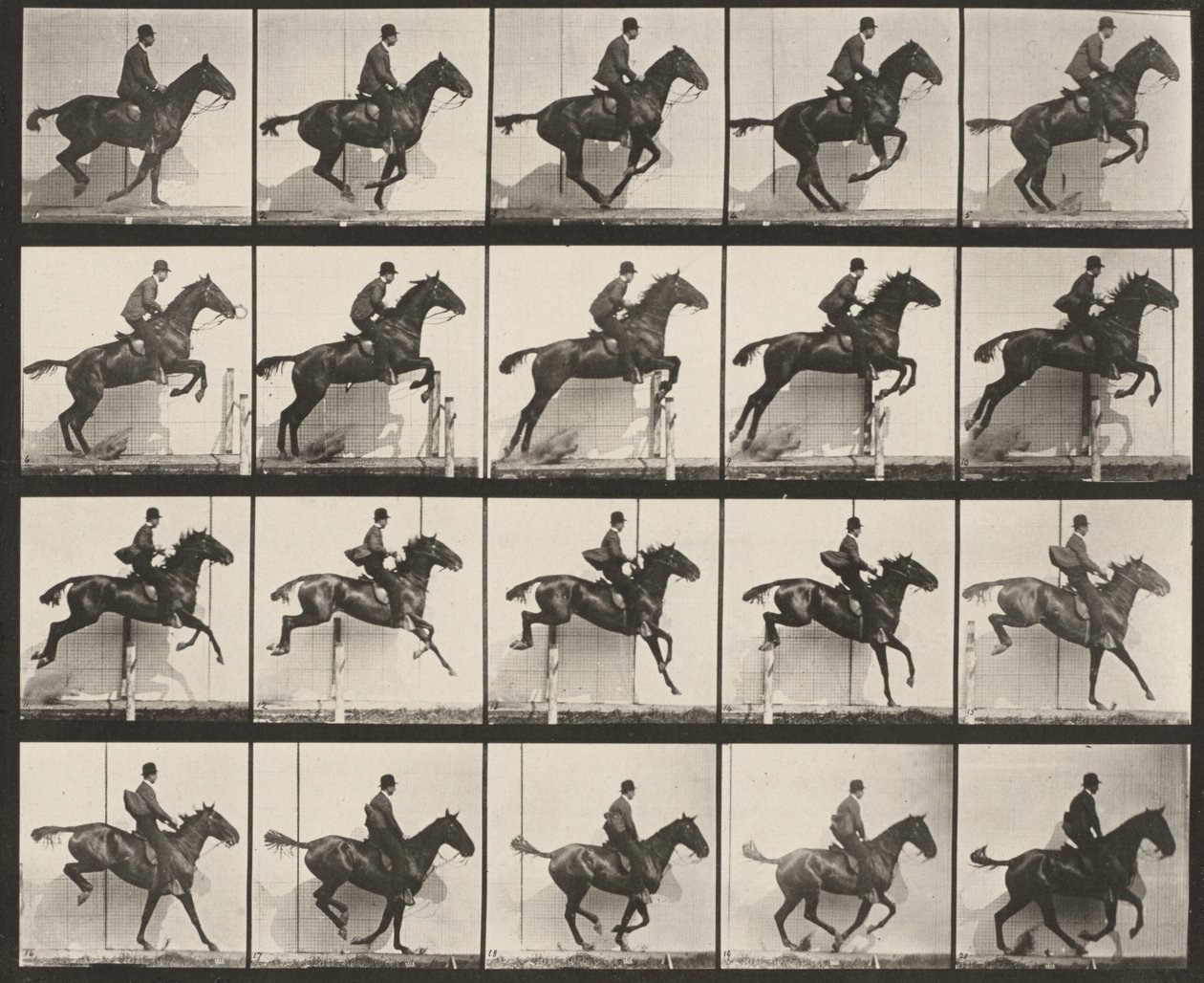 Prancha número 640. «Daisy» salta uma barreira, selada de Eadweard Muybridge
