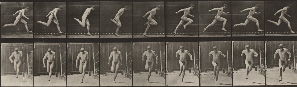 Prancha número 68. Corrida de Eadweard Muybridge