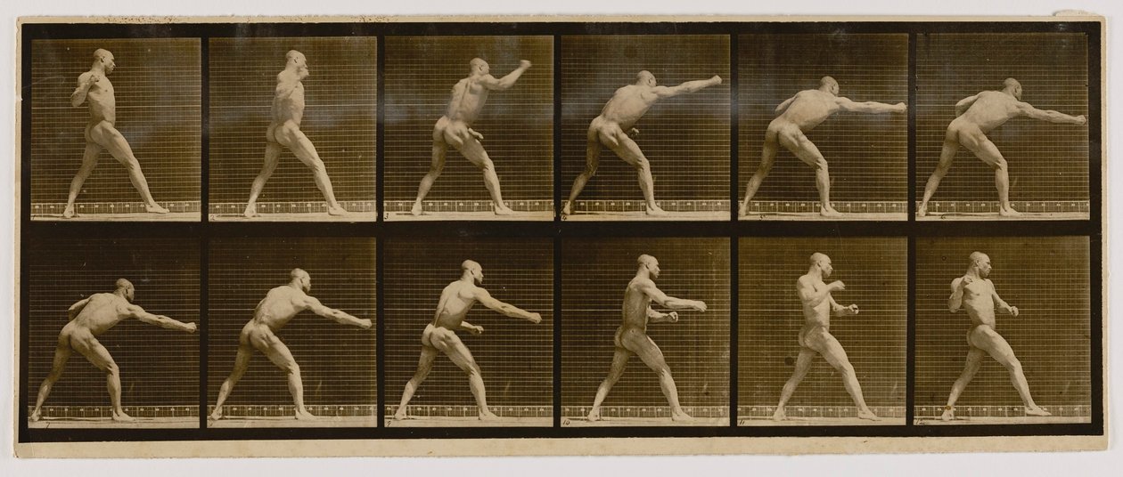 Pugilista a desferir um golpe, do livro Animal Locomotion de Eadweard Muybridge