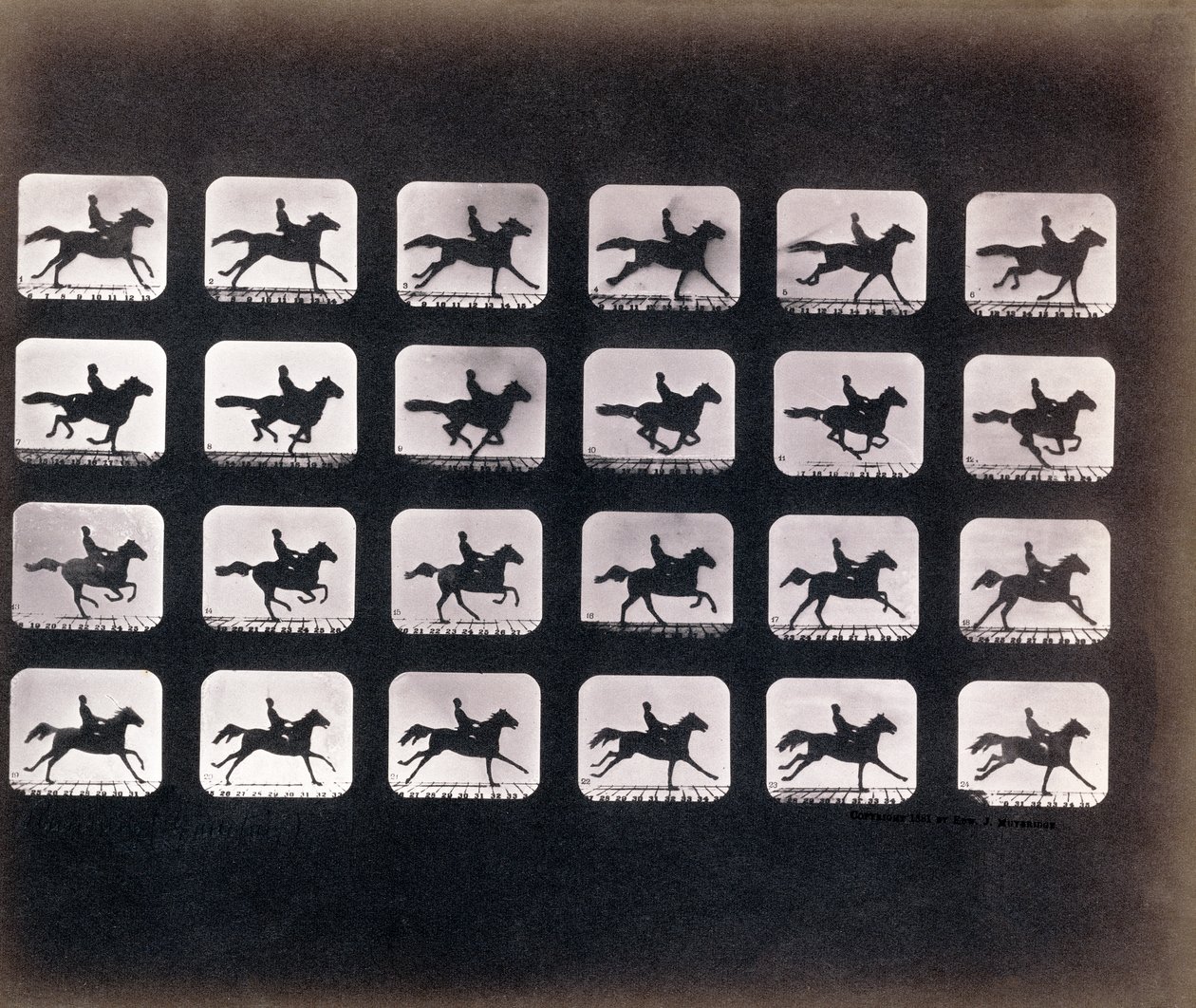 Running (Galloping) por Eadweard J. Muybridge de Eadweard Muybridge