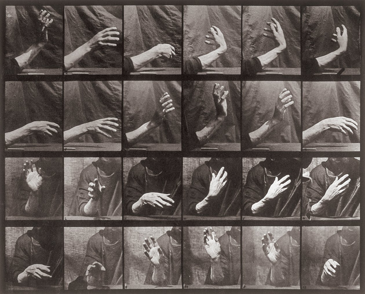 Sequência com movimento da mão, placa 535 da Locomoção de Animais (collotype) de Eadweard Muybridge