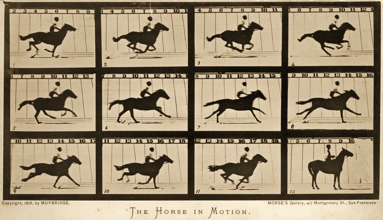 O cavalo em movimento, série &39;Animal Locomotion&39;, c.1878 de Eadweard Muybridge