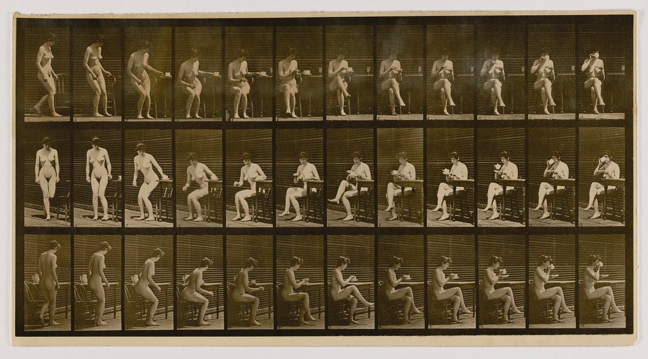 Mulher sentada, pernas cruzadas, bebendo de uma chávena de chá, do livro Animal Locomotion (Locomoção animal) de Eadweard Muybridge