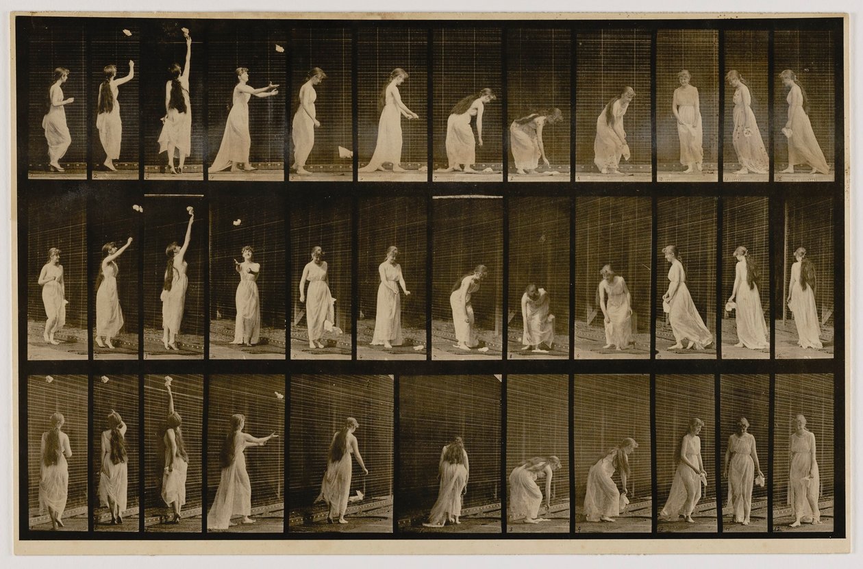 Woman Throwing Handkerchief in Air, Picking It Up, do livro Animal Locomotion de Eadweard Muybridge
