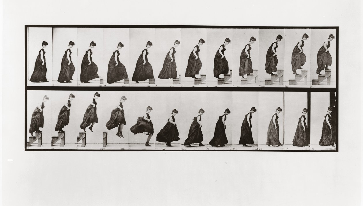 Mulher, escalando, escadas, pular, prato, 173, animal, locomotion, 1887 de Eadweard Muybridge