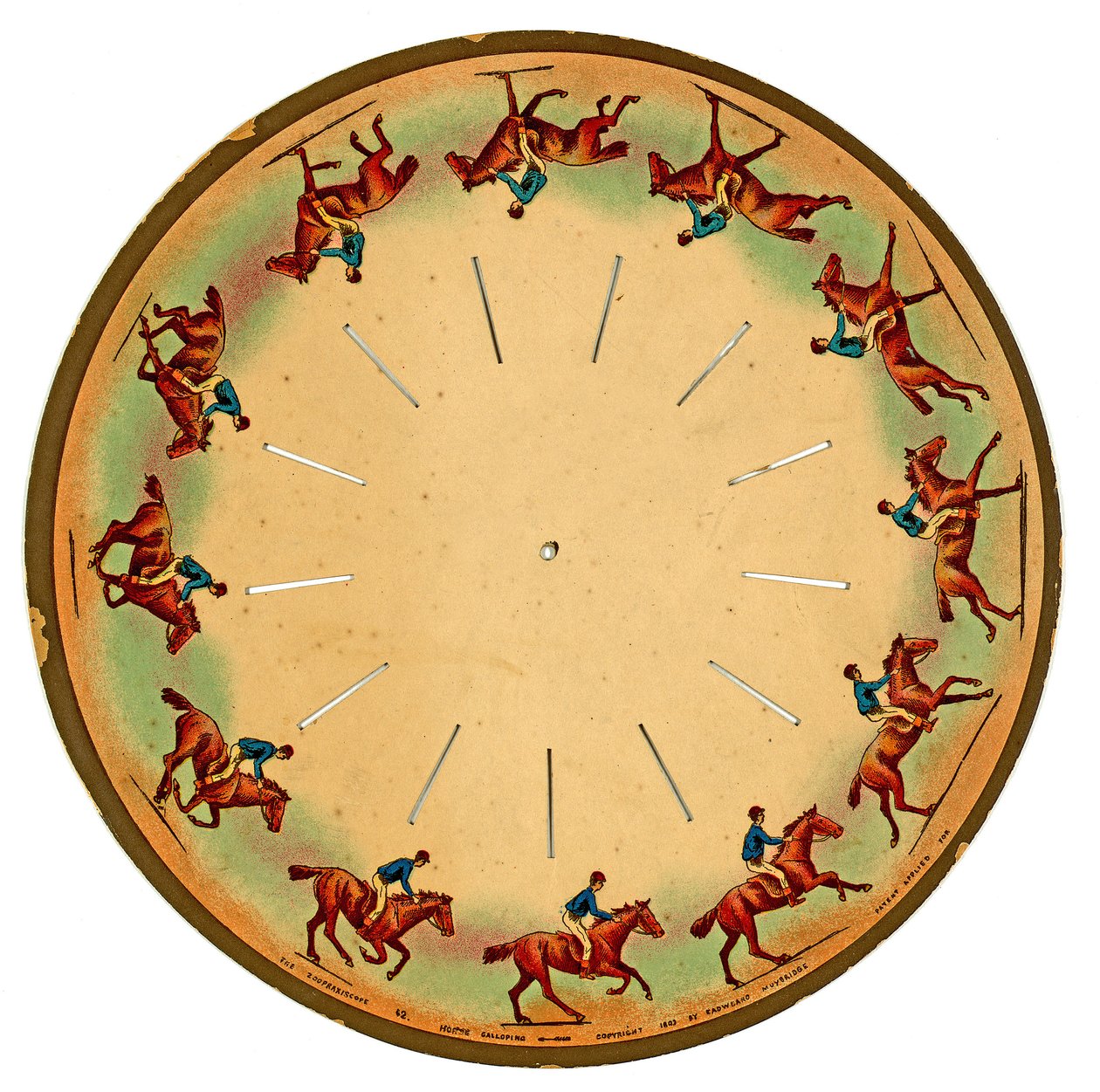 disco de zoopraxiscópio mostrando um cavalo galopando, 1893 de Eadweard Muybridge