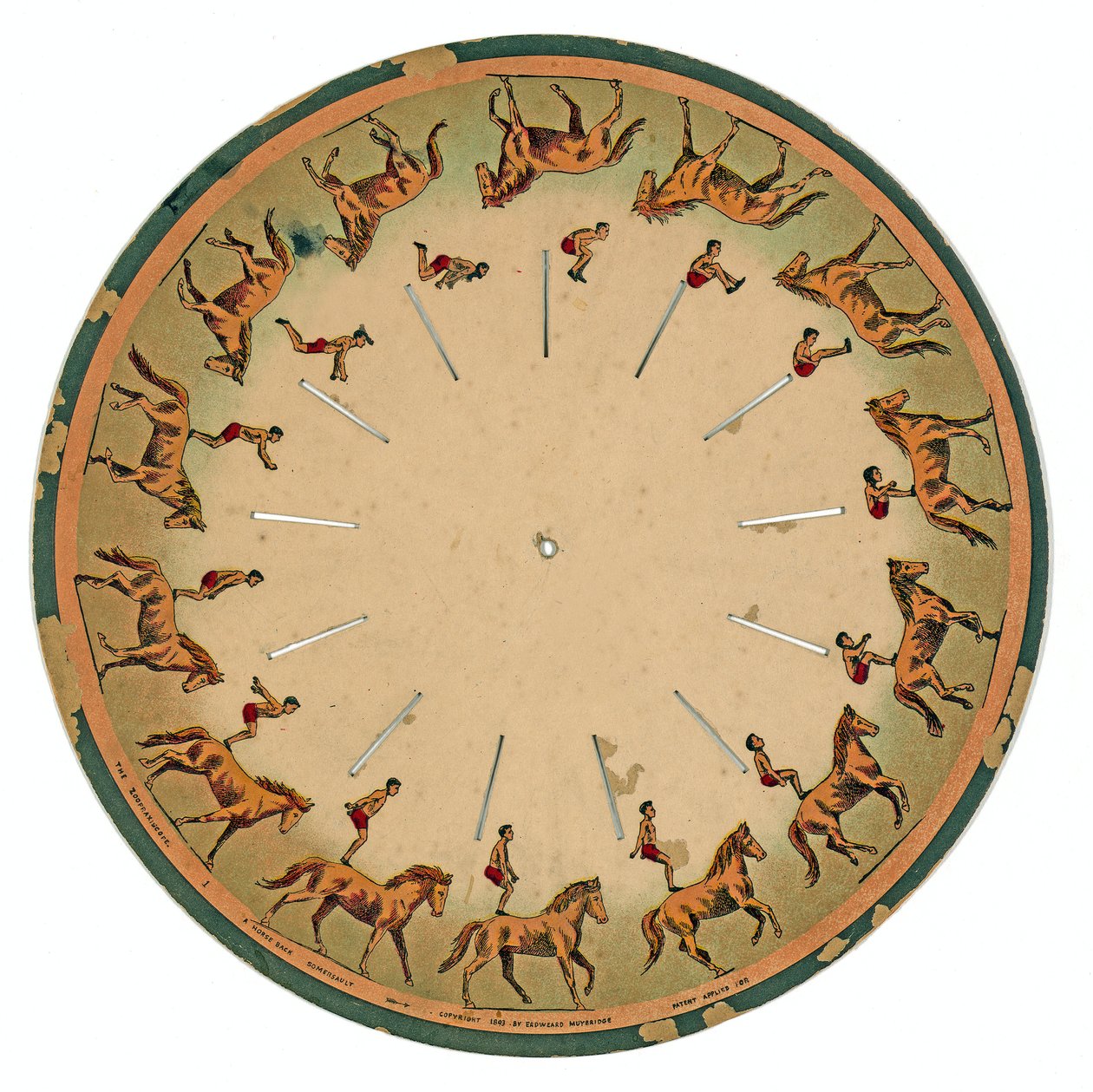 disco de zoopraxiscópio mostrando um acrobata fazendo uma cambalhota de cavalo, 1893 de Eadweard Muybridge