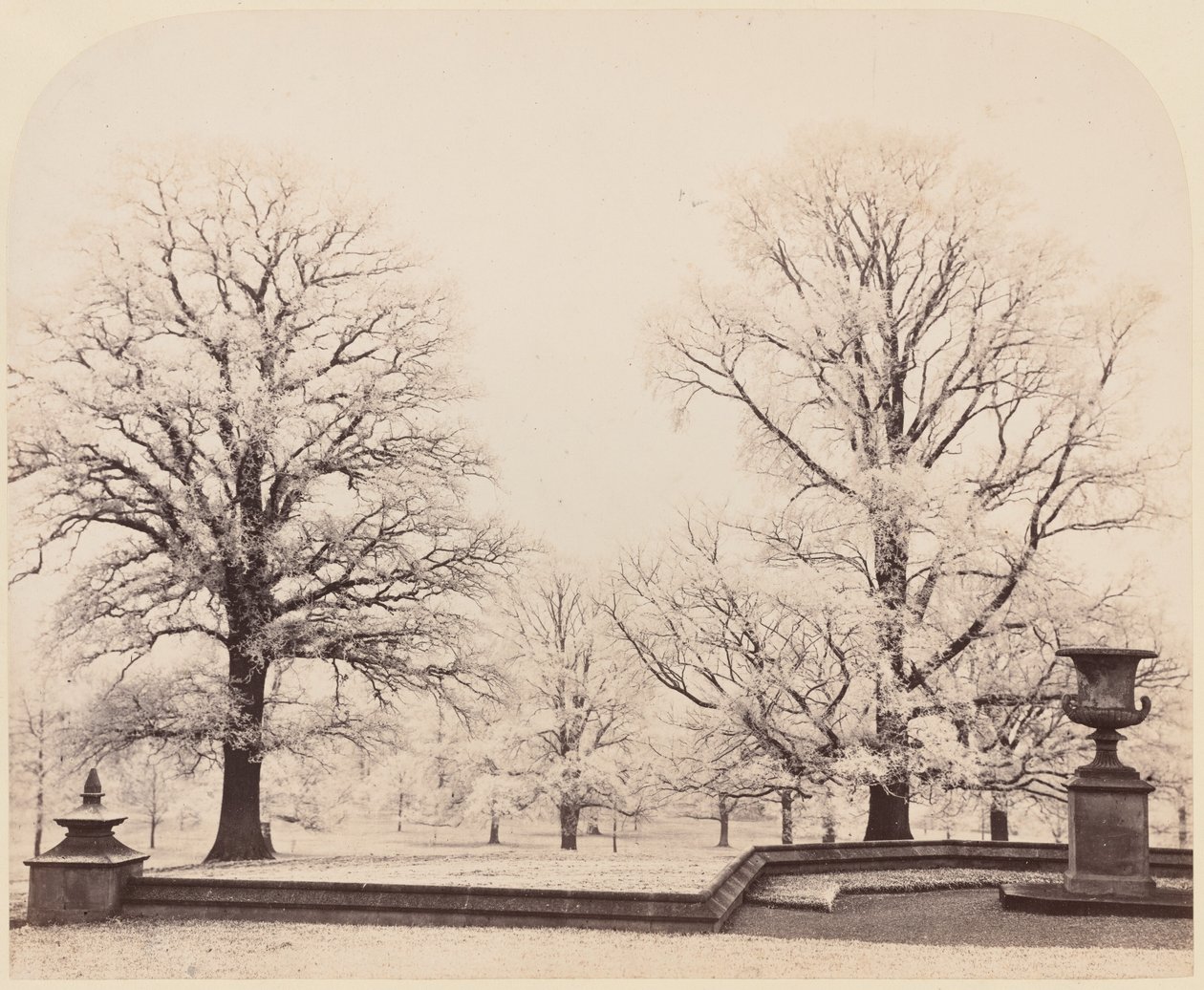 Hoarfrost, uma cena do parque de Earl of Caithness