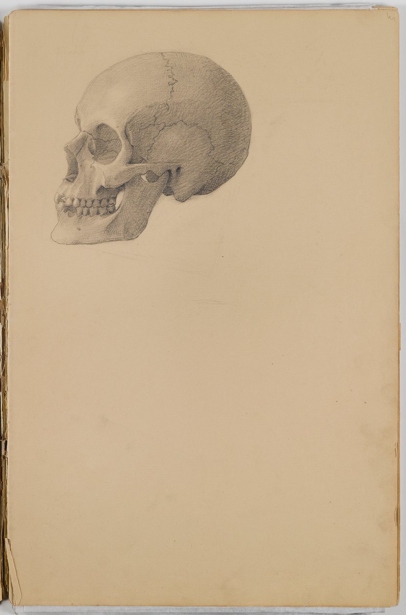 Anatomy Sketch Book, 1849 (caderno de desenho contendo desenhos em grafite) de Eastman Johnson