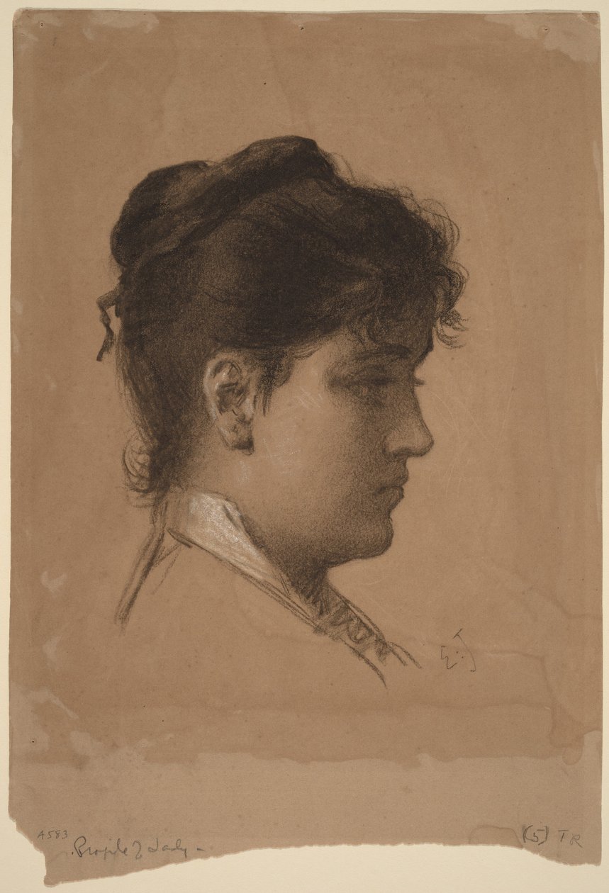 Cabeça de uma jovem mulher de Eastman Johnson