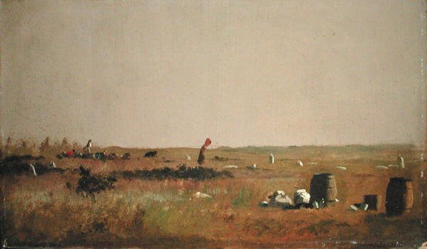 Estudo para Cranberry Pickers (óleo a bordo) de Eastman Johnson