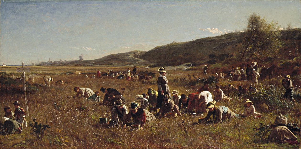 A colheita de cranberry. Ilha de Nantucket, 1880 de Eastman Johnson