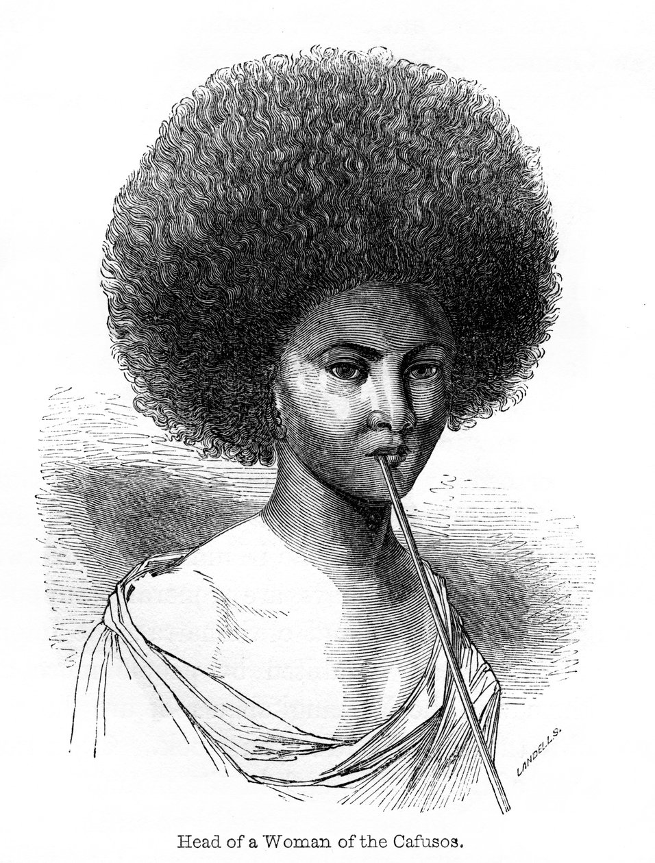 Cabeça de uma mulher dos Cafusos, 1848. de Ebenezer Landells