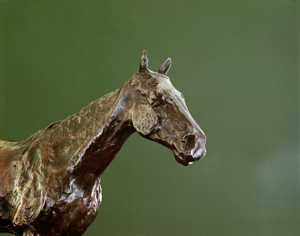 Cabeça de cavalo (bronze) (detalhe de 335585) de Edgar Degas