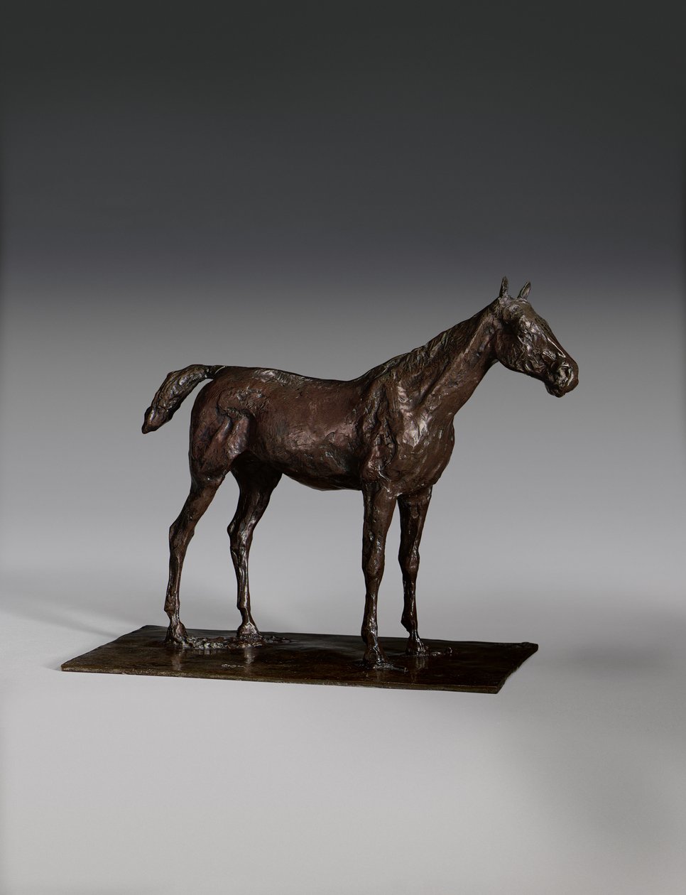 Cavalo em pé de Edgar Degas