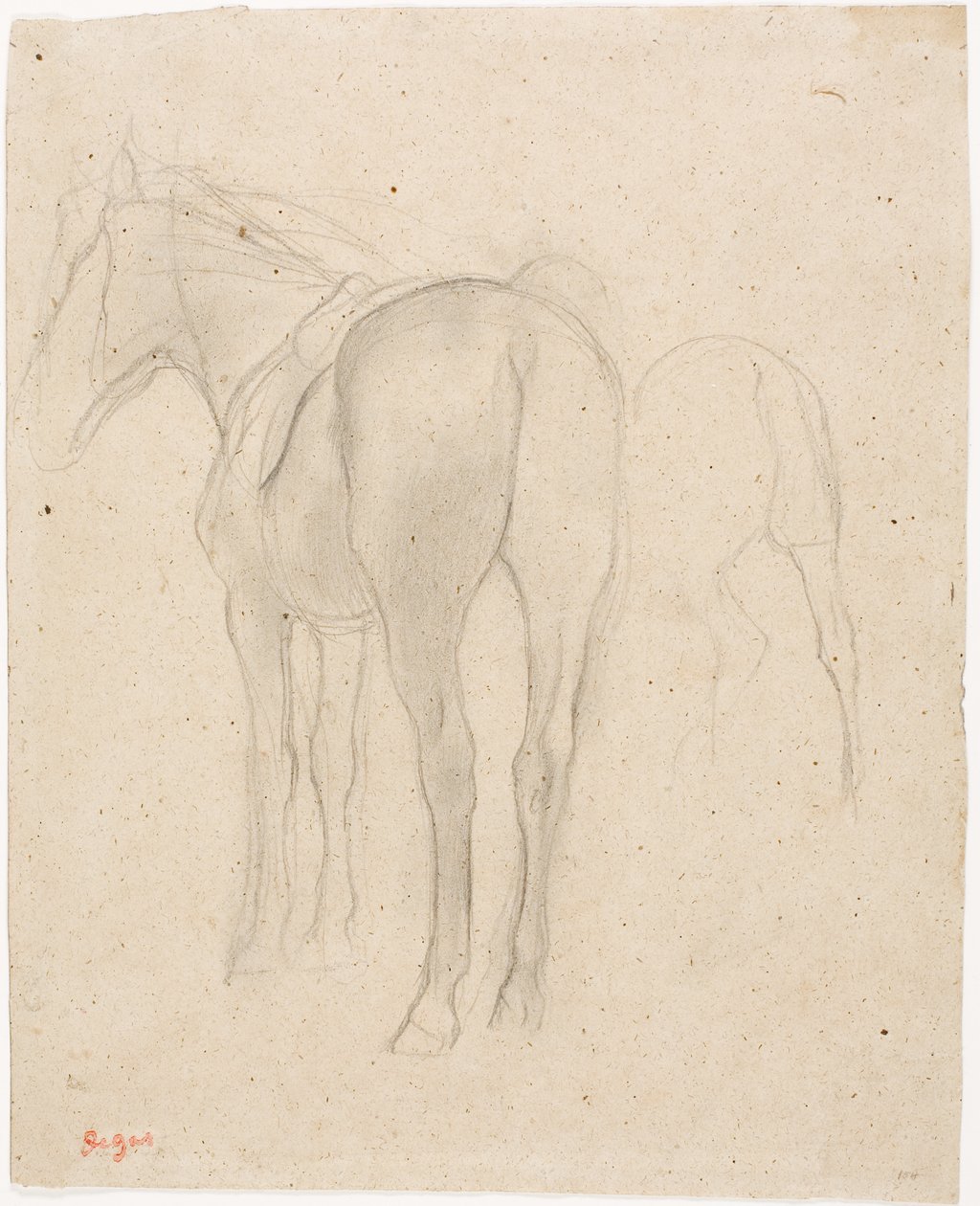 Estudos de um cavalo de Edgar Degas