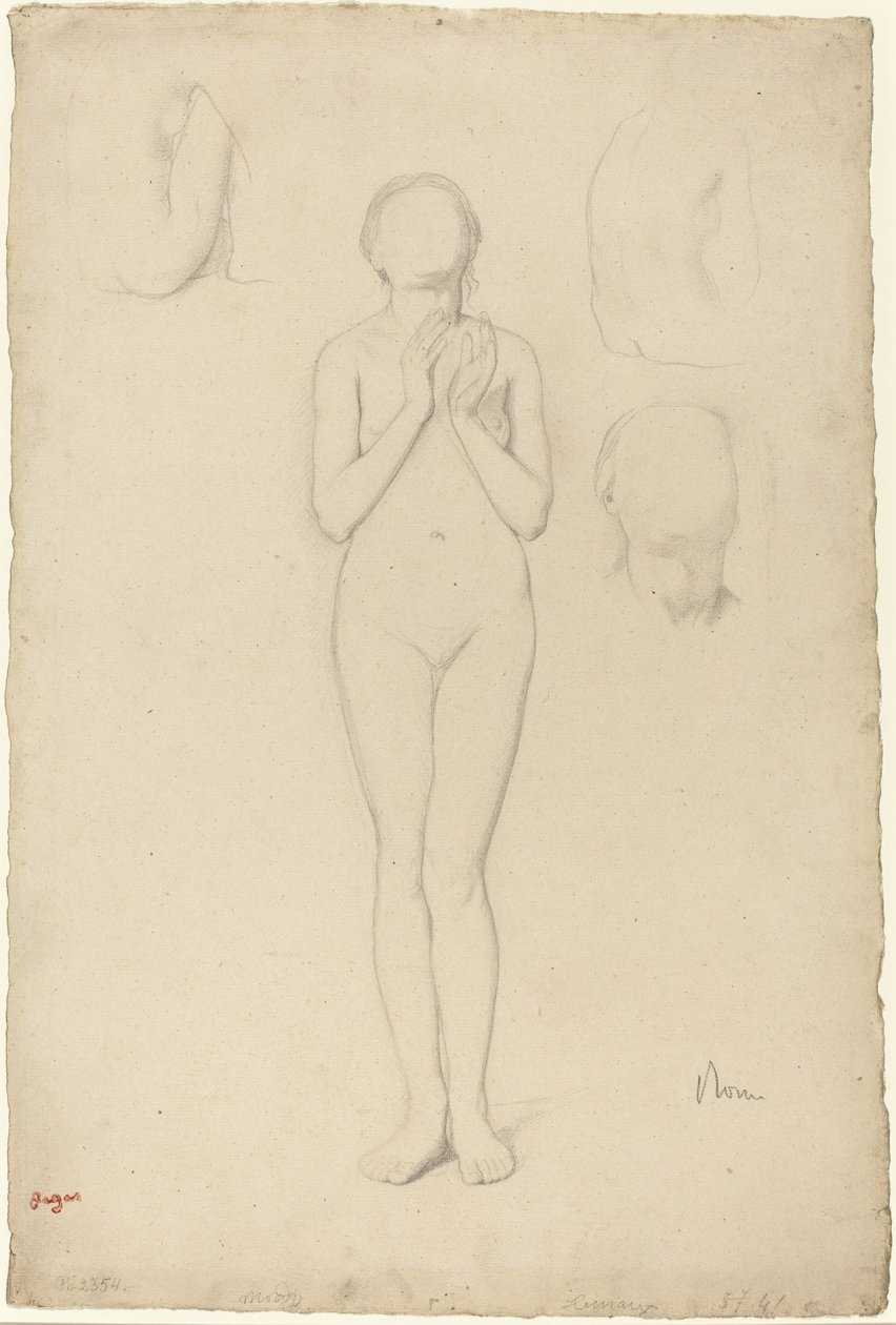Estudo de um nu feminino de Edgar Degas