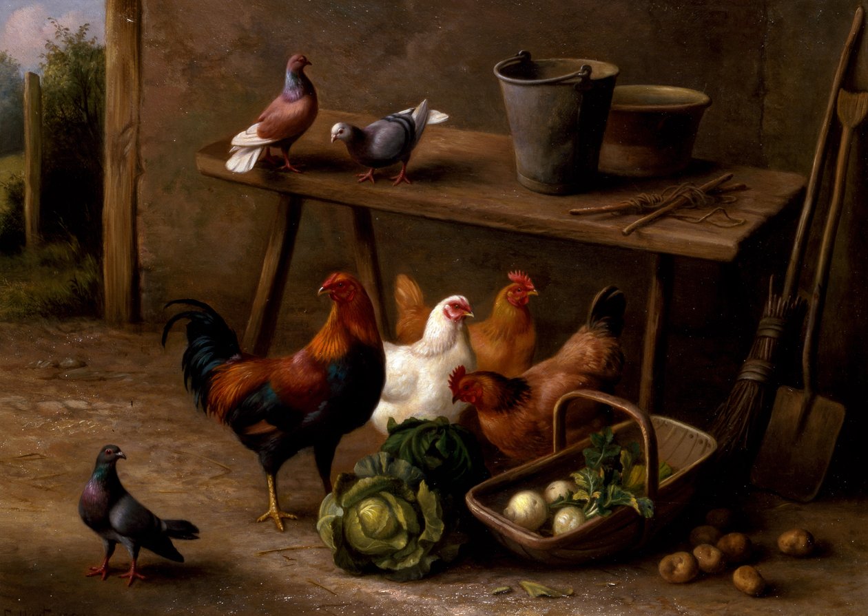 Galinhas, pombos e pombas de Edgar Hunt