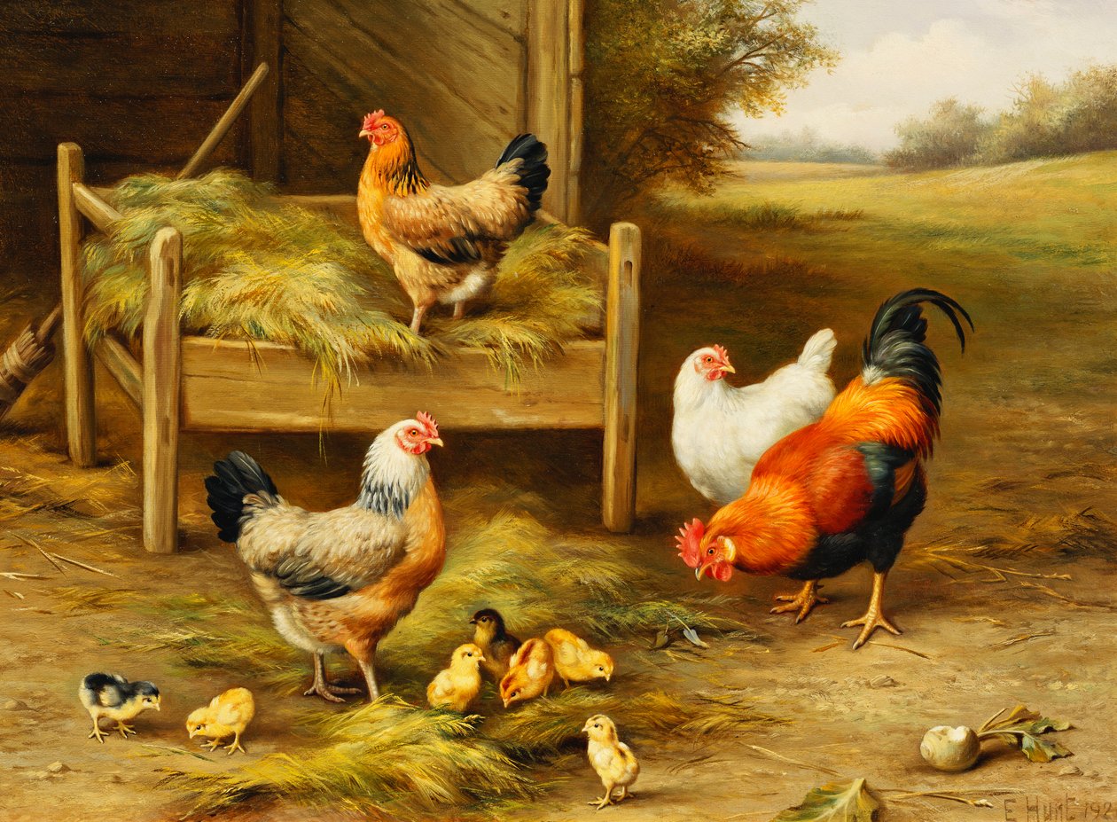 Alimentação de galinhas e pintos de Edgar Hunt