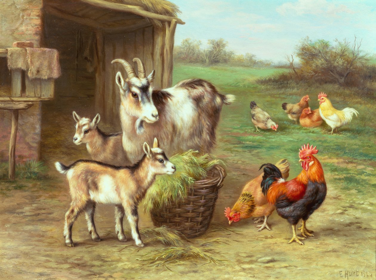 Galinhas e cabras a alimentarem-se numa quinta de Edgar Hunt
