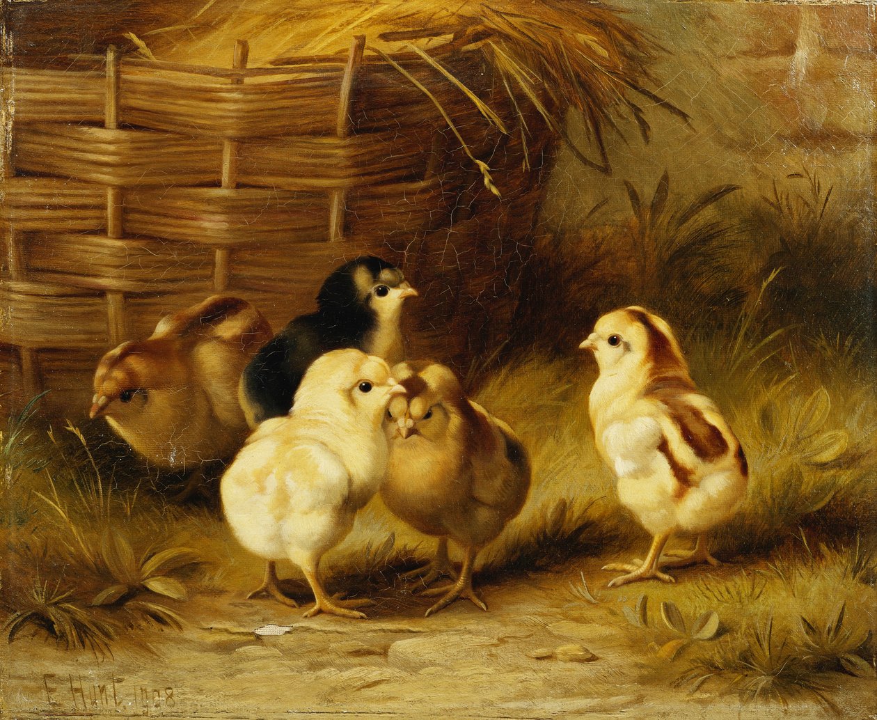 Pintos ao cesto de Edgar Hunt
