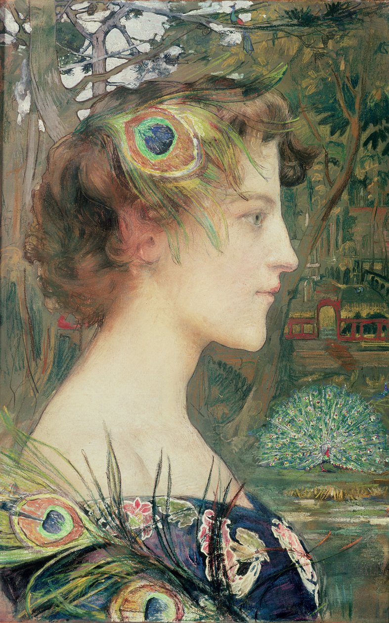 Perfil do pavão de Edgar Maxence