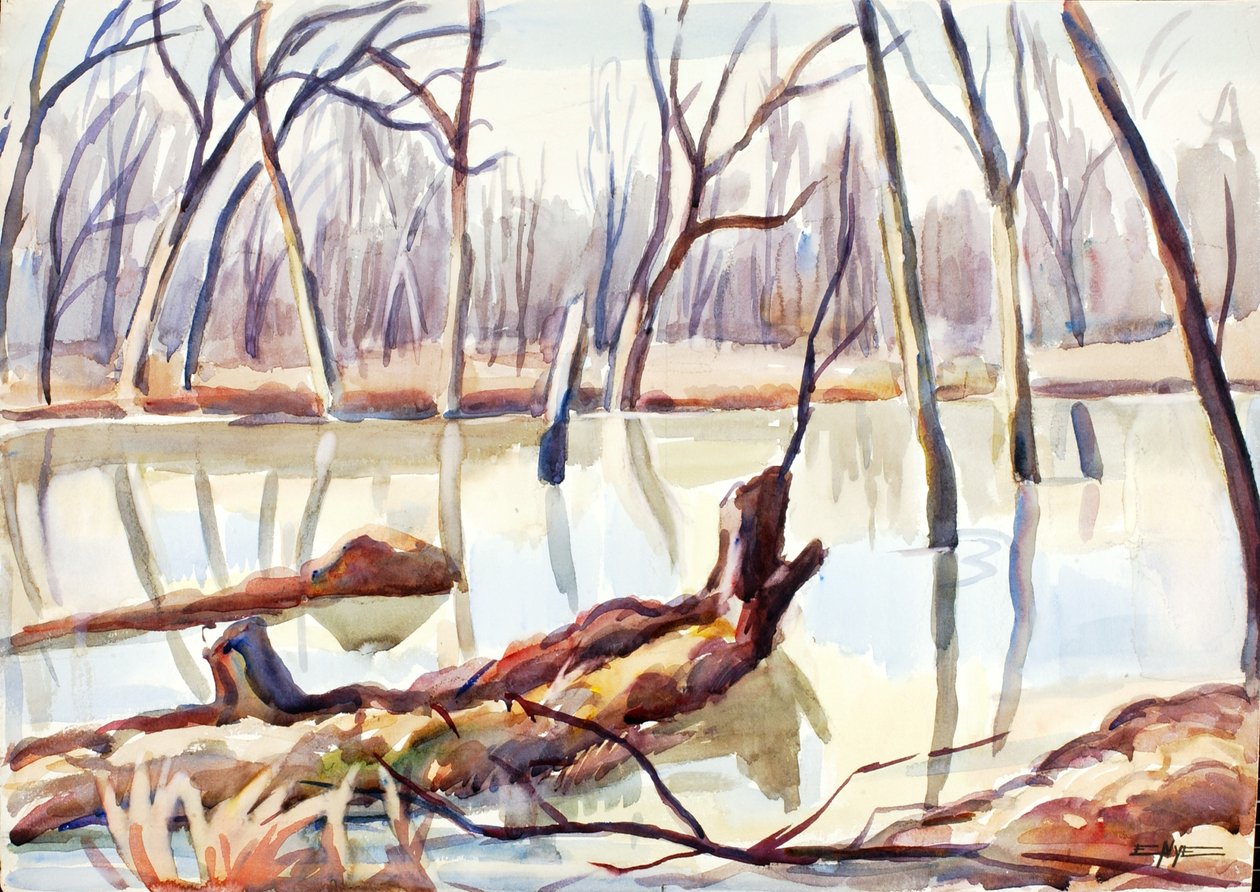 Rock Creek, Inverno, ca. 1920-1929. de Edgar Nye