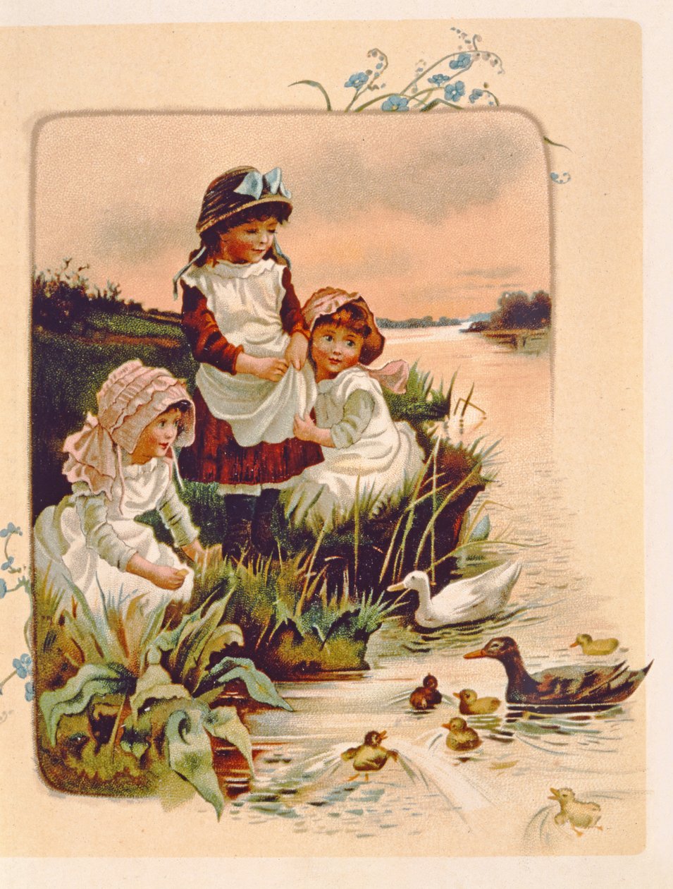 Alimentando patos, ilustração de `onde os lírios vivem &39;, 1889 de Edith S. Berkeley