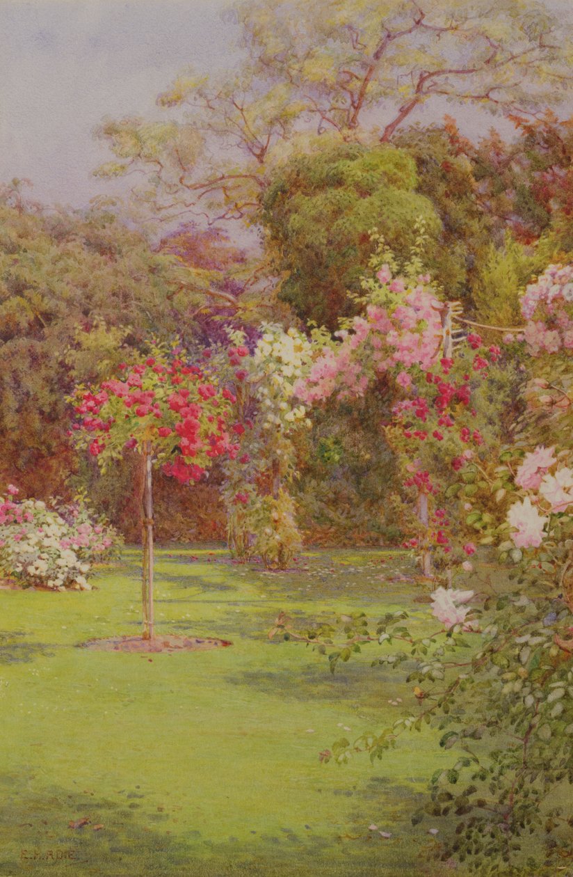 Um jardim de rosas (aquarela sobre papel) de Edith Helena Adie