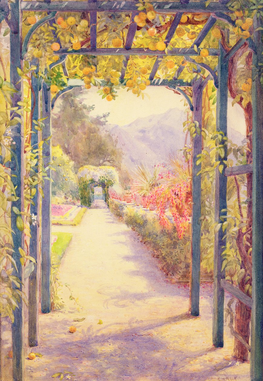 Uma pérgula italiana (aquarela sobre papel) de Edith Helena Adie