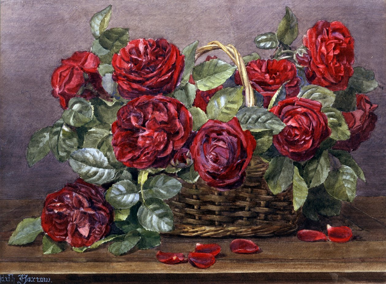 Rosas vermelhas. Pintura de Edith Isabel Barrow (falecida em 1930) Coleção particular. de Edith Isabel Barrow