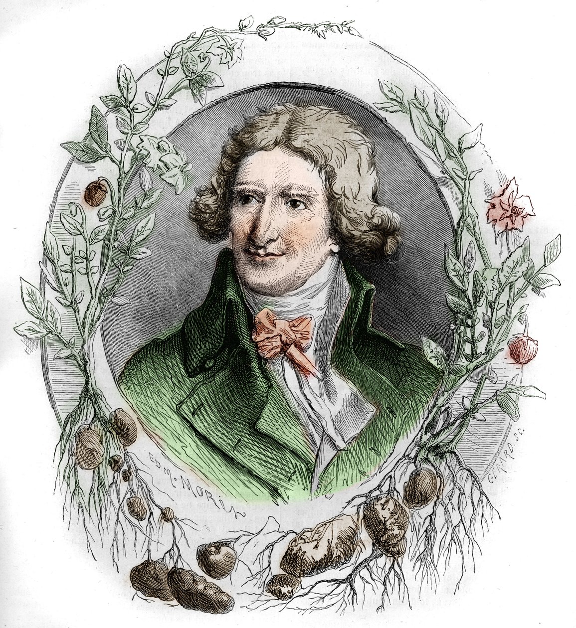 Retrato de Antoine Augustin Parmentier (1737-1813), farmacêutico militar e agrônomo francês. Gravura de Edmond Morin de Edmond Morin
