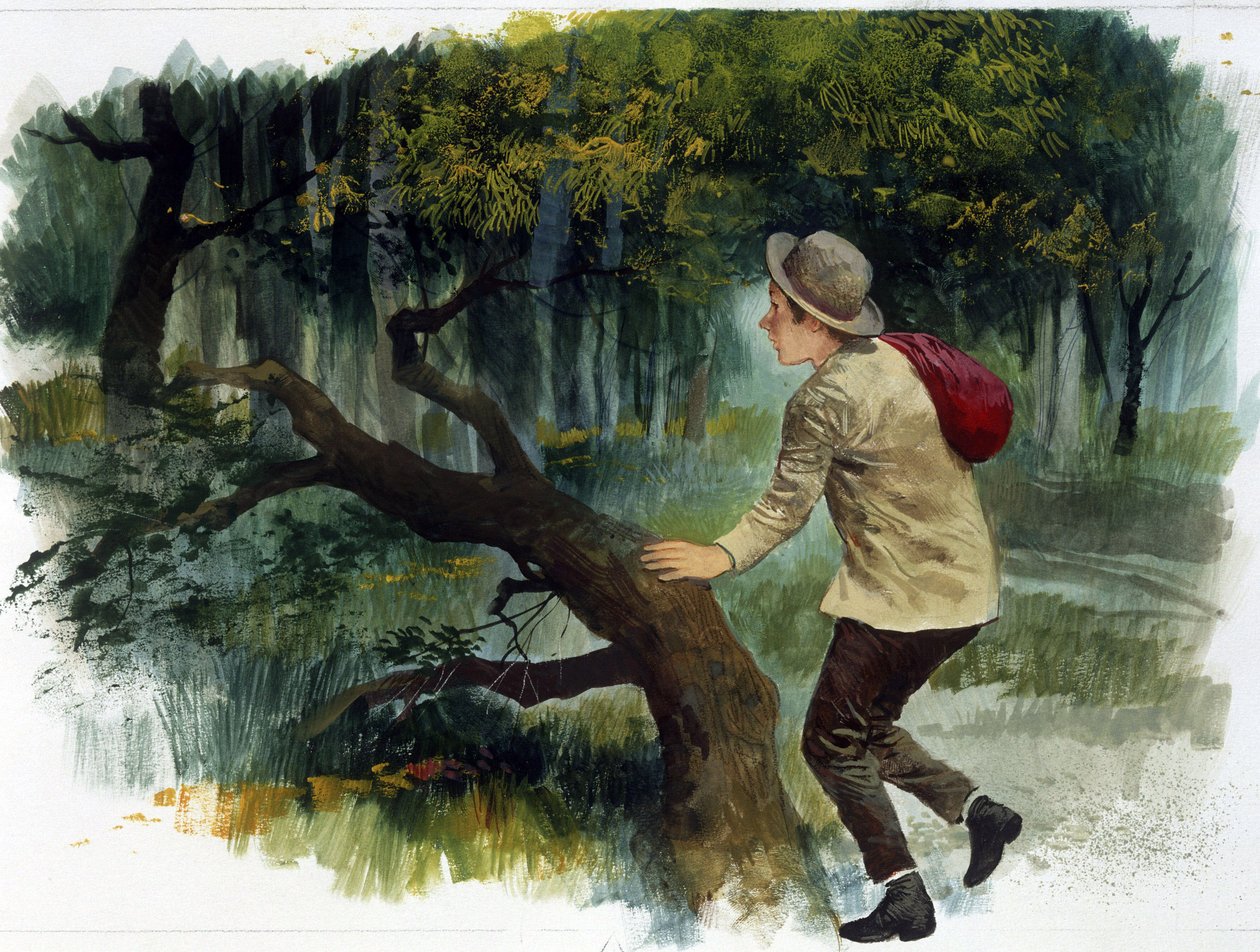 Literatura infantil : desde os Apeninos até aos Andes. Um jovem rapaz sozinho na floresta (desenho) de Edmondo de Amicis