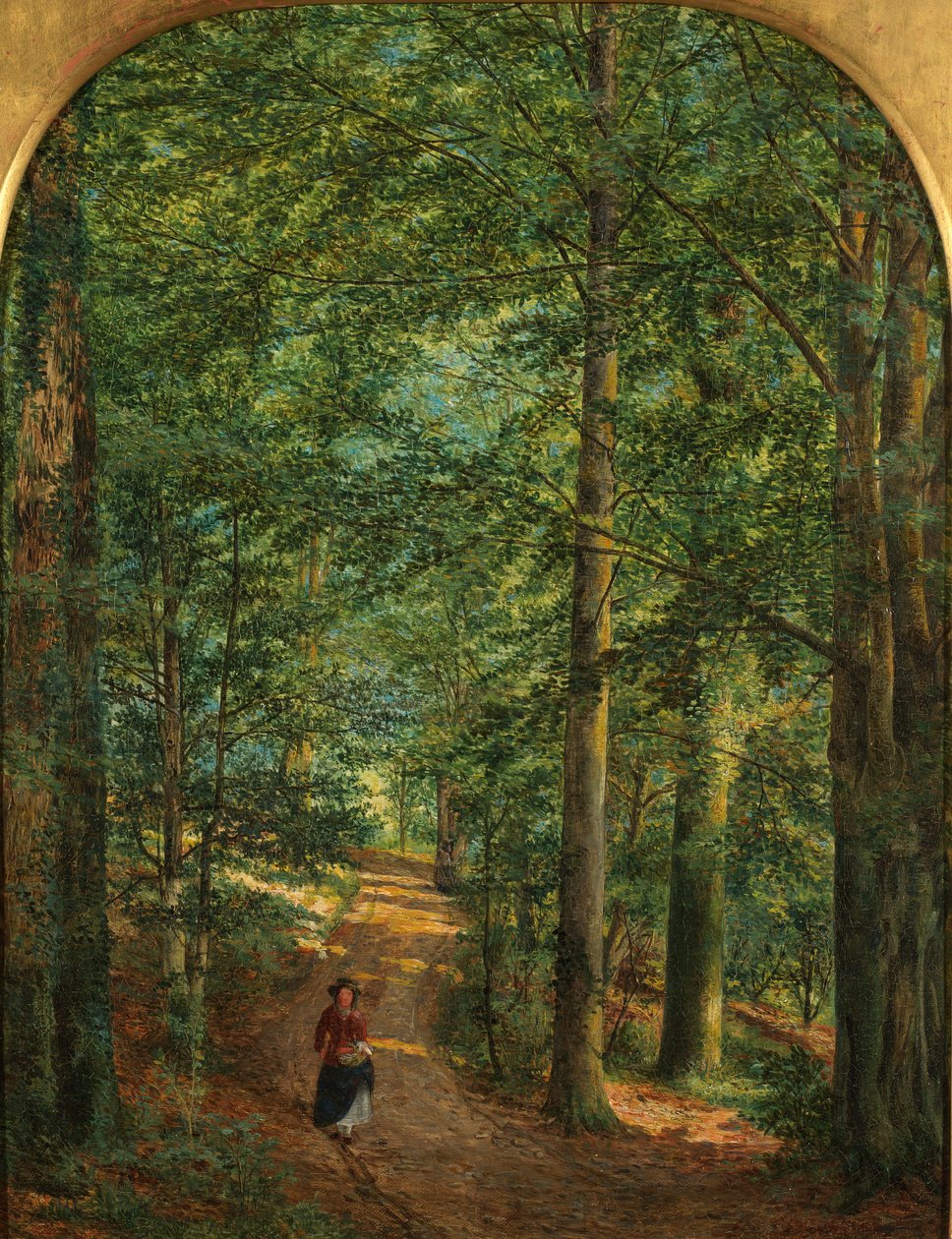 Na floresta de Edmund George Warren