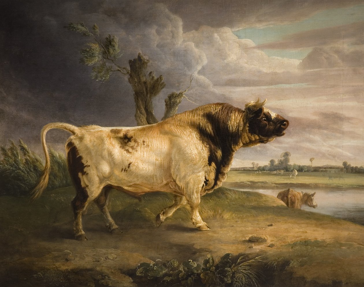 Um Prêmio Bull de Edmund Bristow